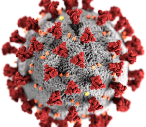 Het Noorwegenvirus leeft weer op.