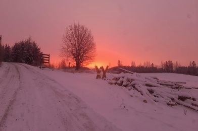 Wat mooie foto’s