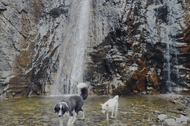 Uitstapje naar de waterval Torafossen🚗